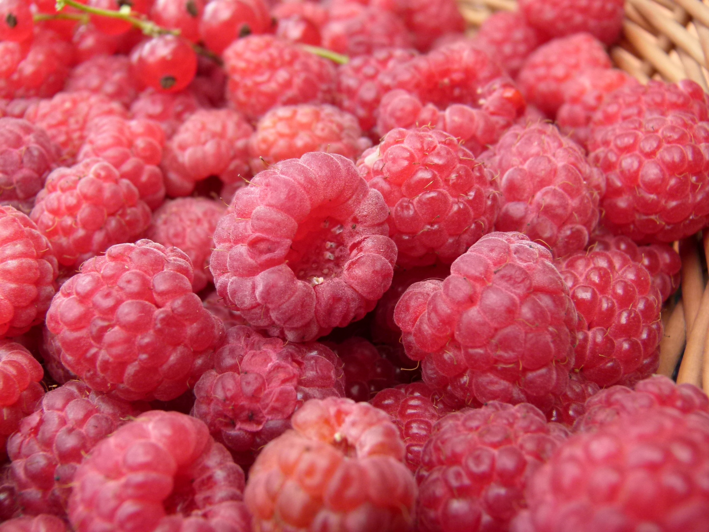 Raspberries