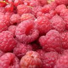 Raspberries