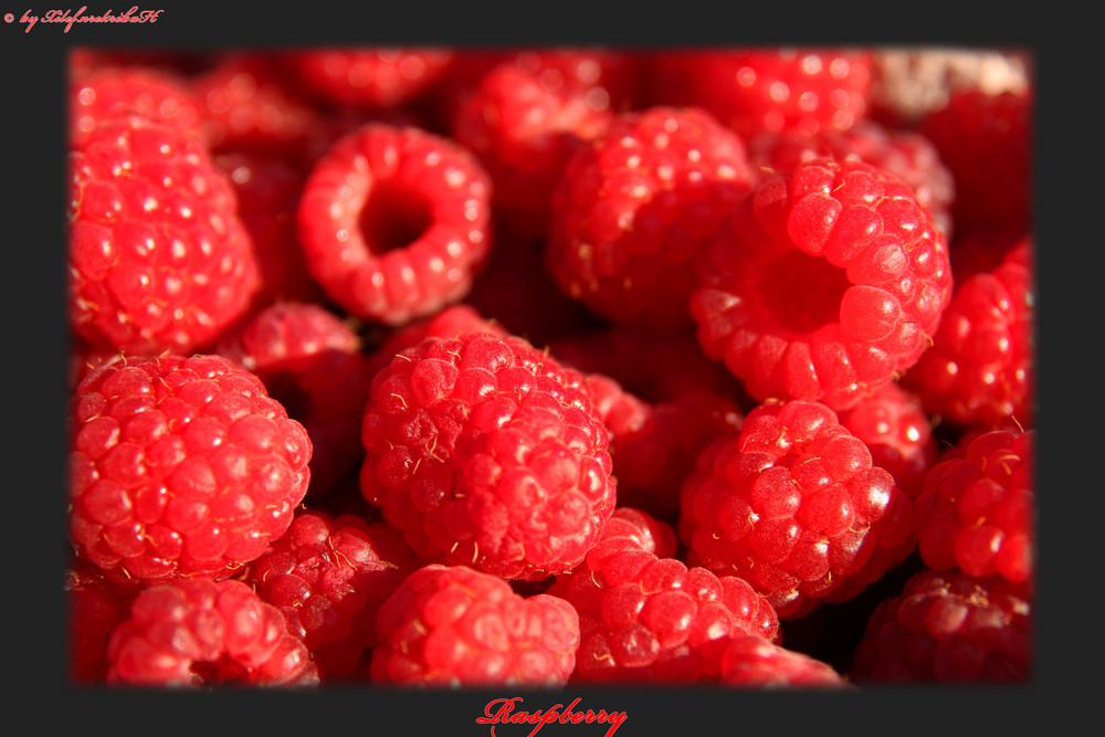 Raspberry