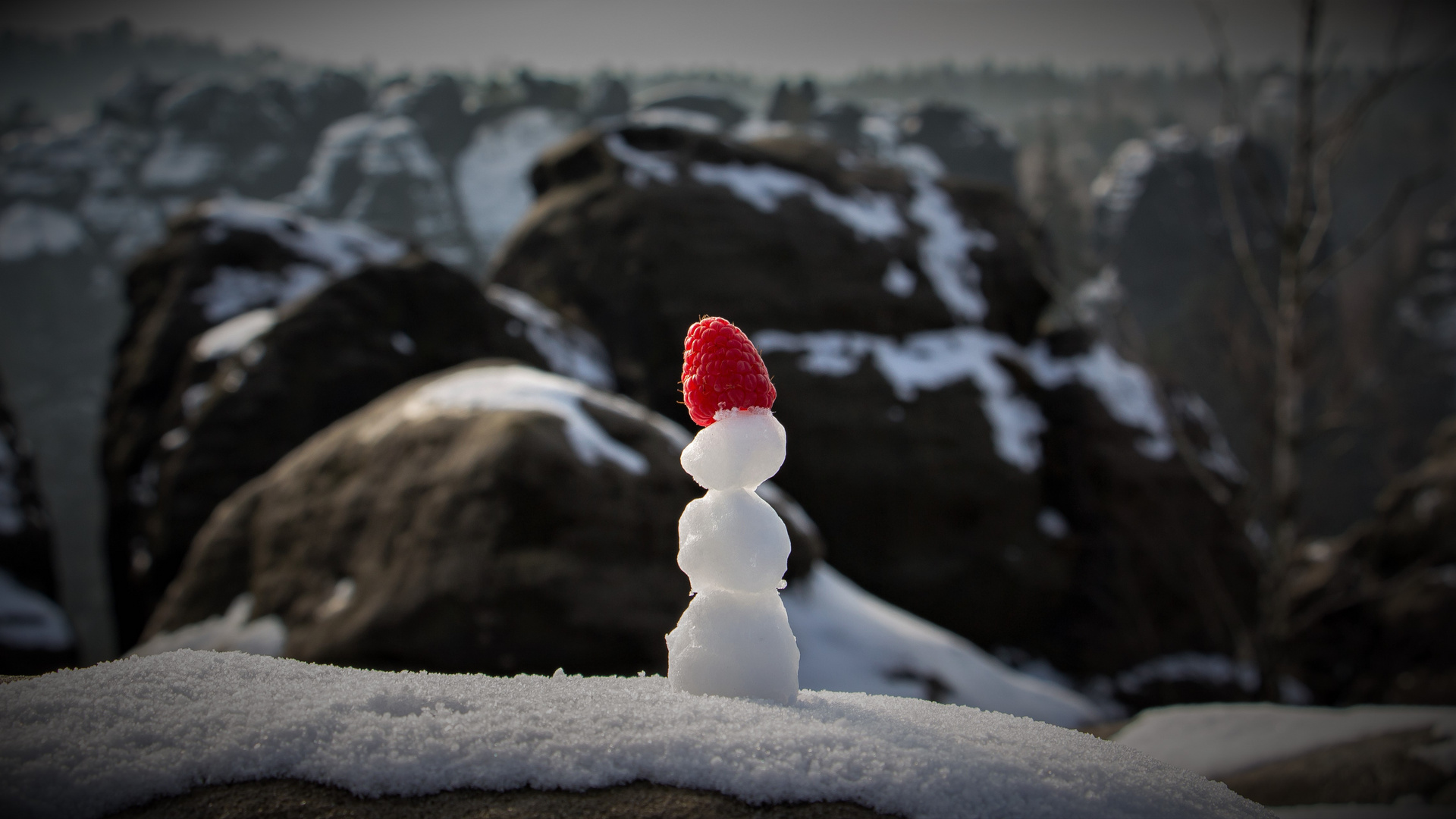Raspberry-Snowman