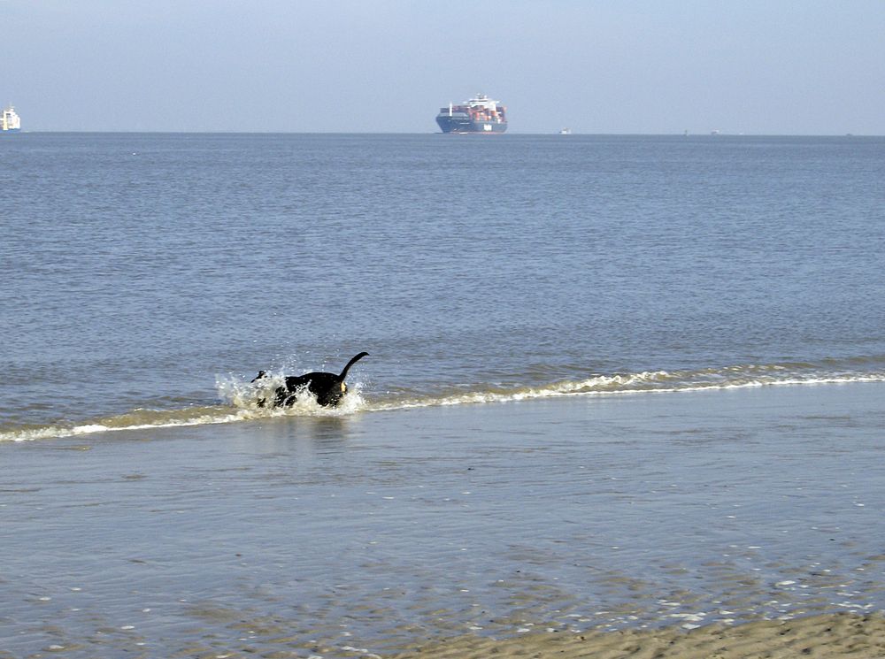 Rasputin an der Elbe