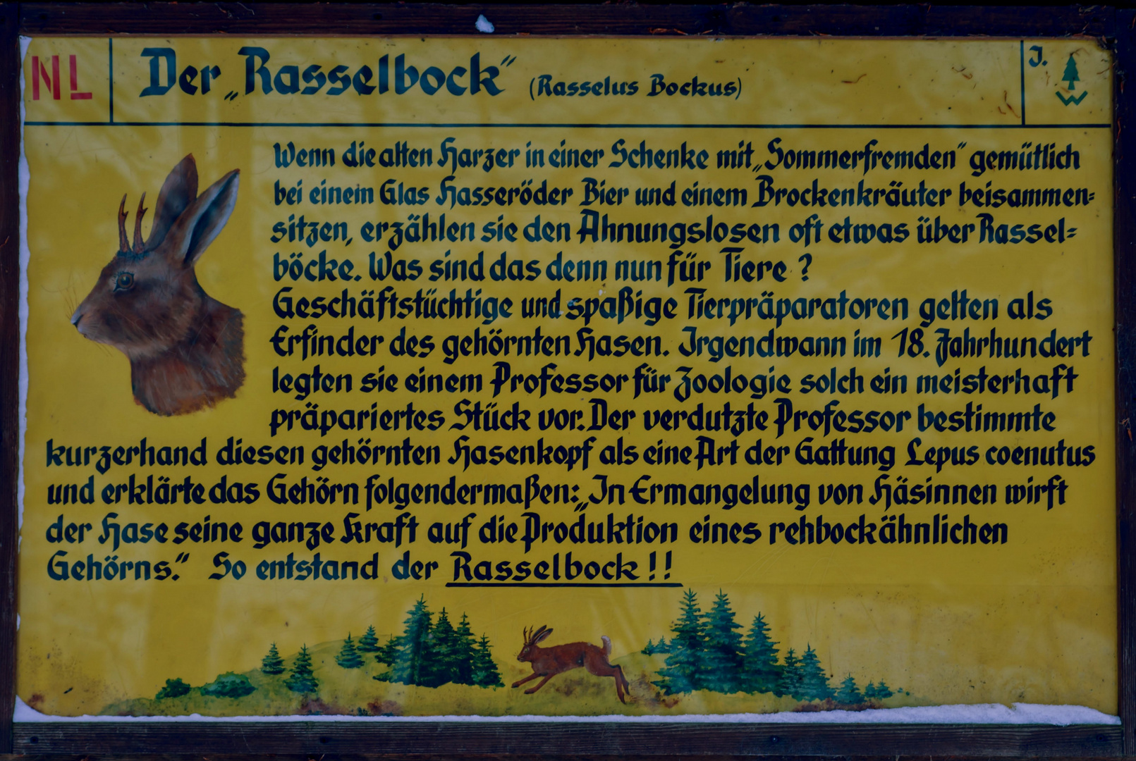  Rasselbock