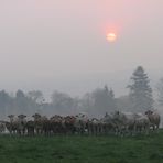 rassemblement à l'aube