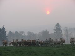 rassemblement à l'aube