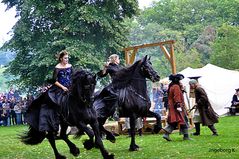 Rassige Pferde und rassige Reiterinnen