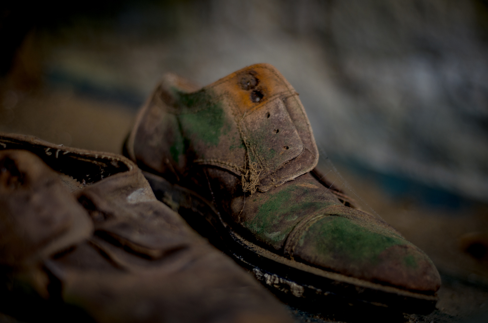 >> rast Foto & Bild archiv, a r c h i v aktuell, minimalismus Bilder