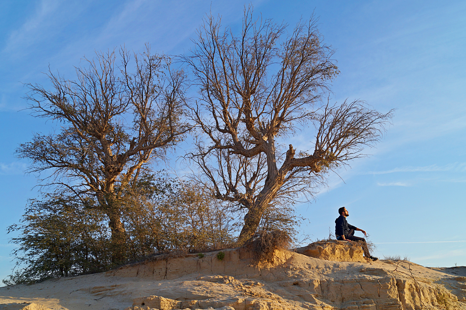 Rast am Baum