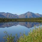 Rast am Denali-Highway/Alaska