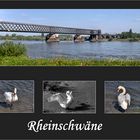 rast am rhein