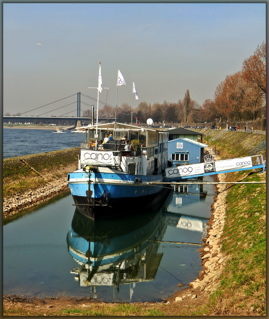 Rast am Rhein in Düsseldorf