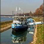 Rast am Rhein in Düsseldorf