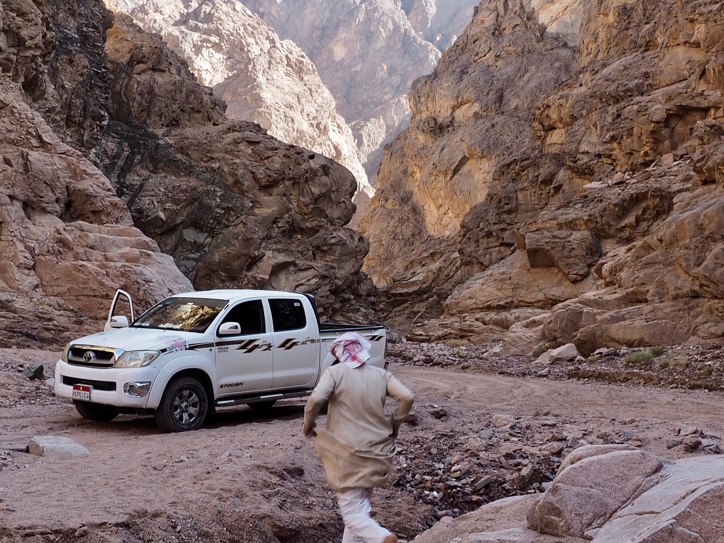 Rast am Wasser in der Wüste Sinai