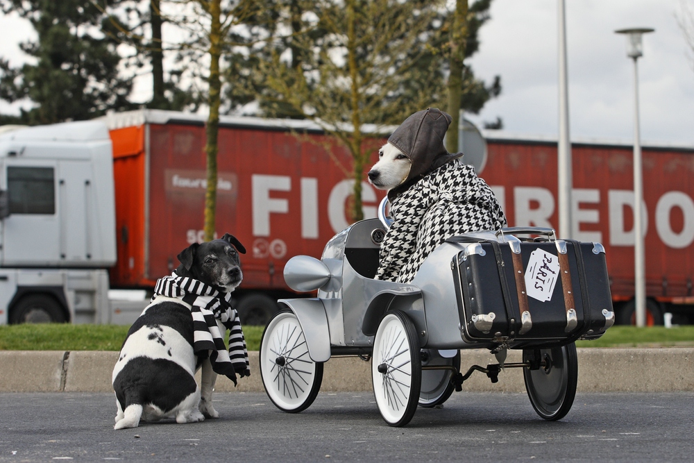 Rast auf der Autobahn....;-)