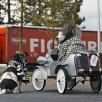 Rast auf der Autobahn....;-)