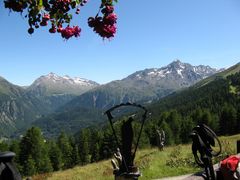 Rast auf der Gampealm