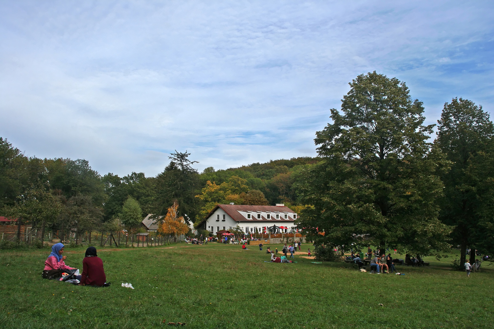 Rast auf der Jägerwiese