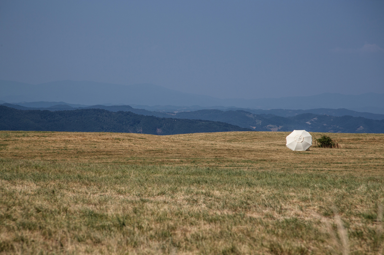 Rast bei Rueckenwind...