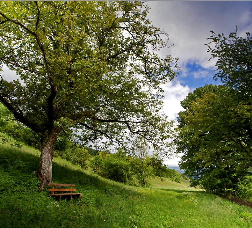 Rast-Einladung mit Blick in die Natur