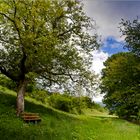 Rast-Einladung mit Blick in die Natur