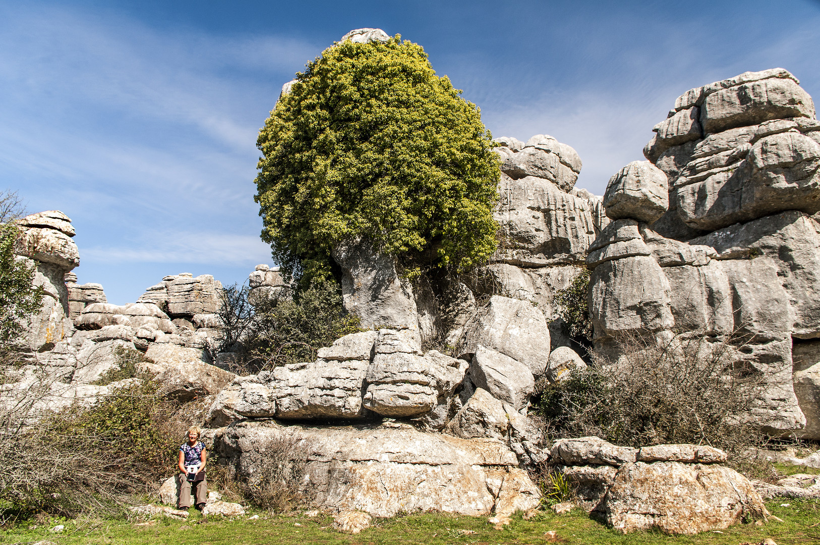 Rast im Naturpark El Torcal