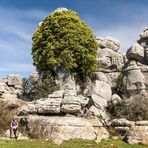 Rast im Naturpark El Torcal