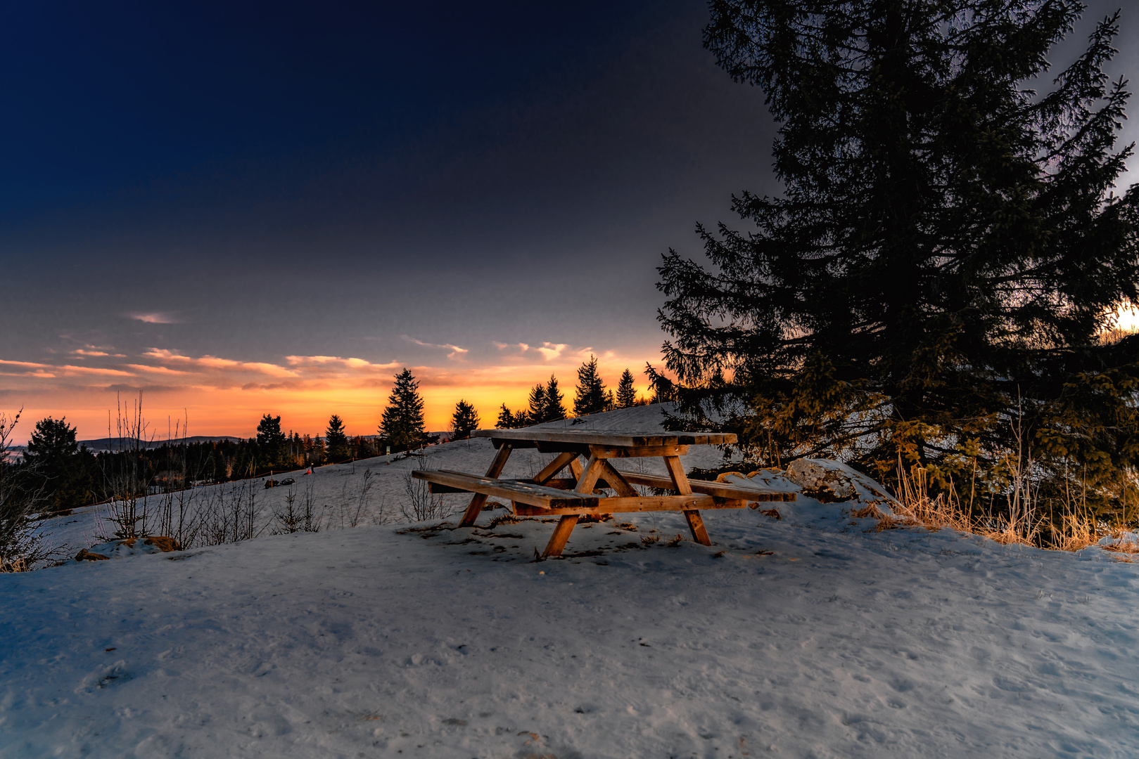 Rast im Schnee am Abend 