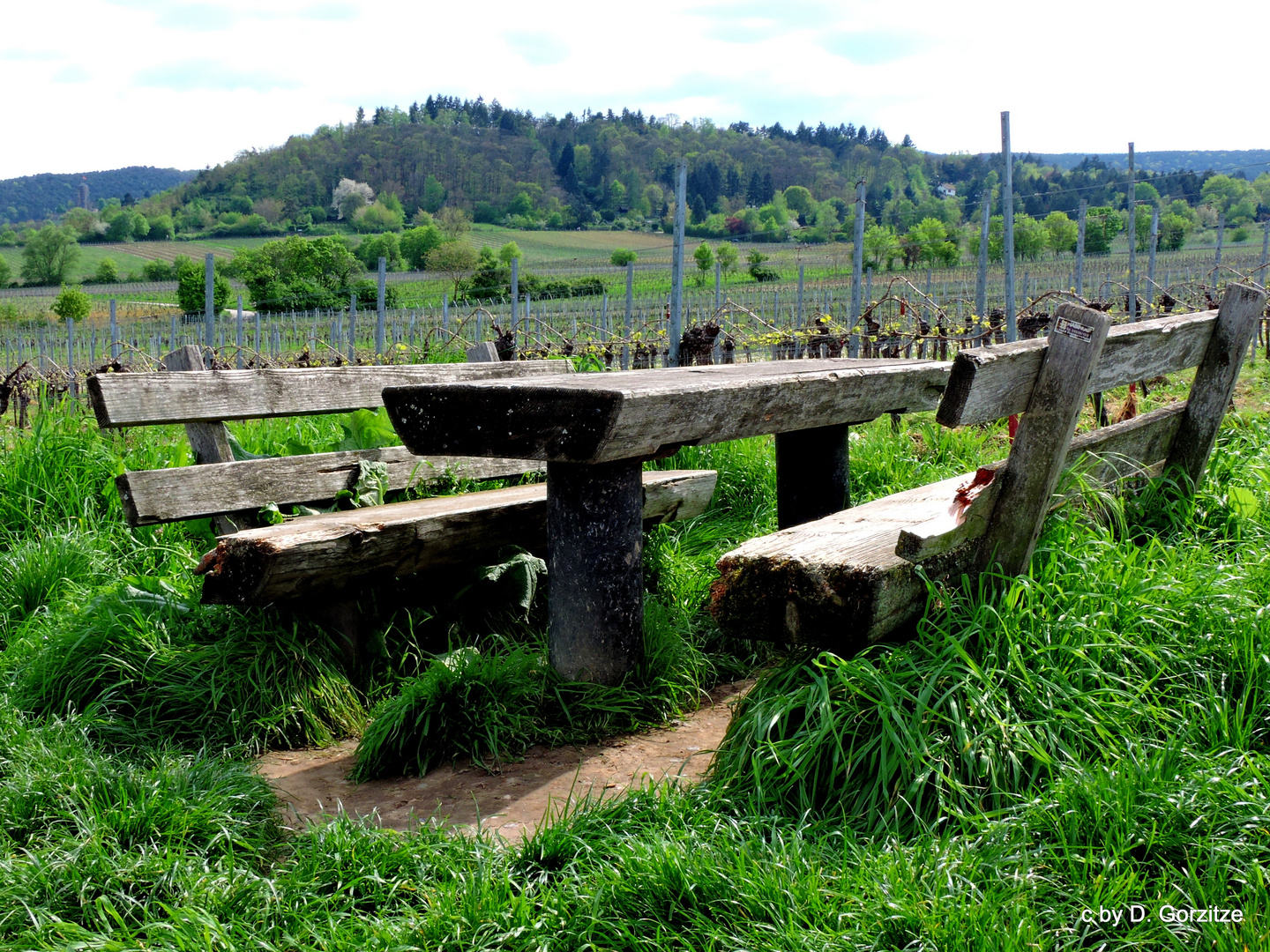 Rast in den Weinbergen !