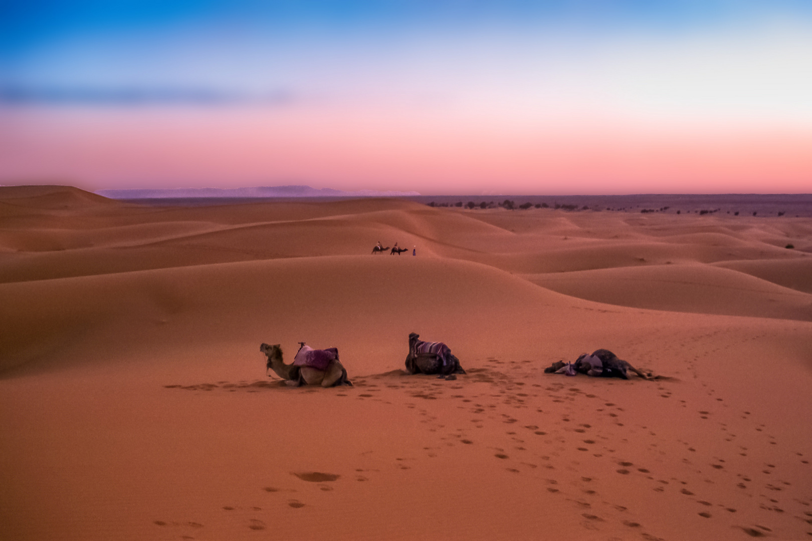 Rast in der Sahara