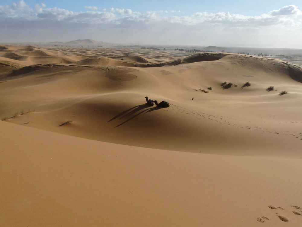 Rast nach einem Ritt in die Dünen bei Merzouga