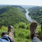 Rast oberhalb der Saarschleife