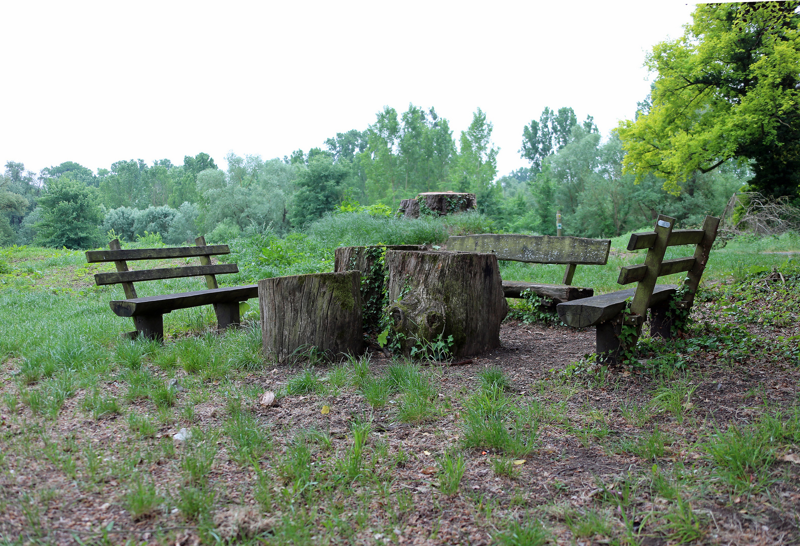 Rast und Blick in die Auenlandschaft