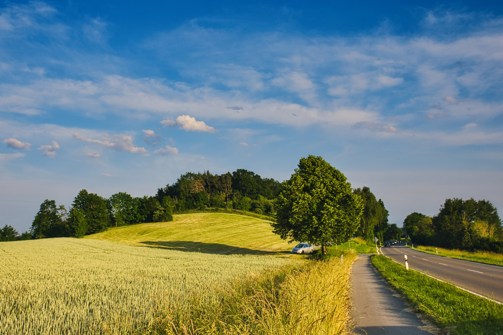 Rast unter der Linde