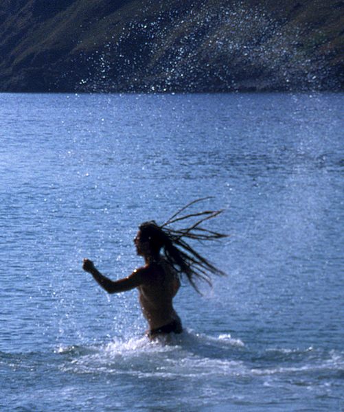 Rastahias im kalten Nordmeer