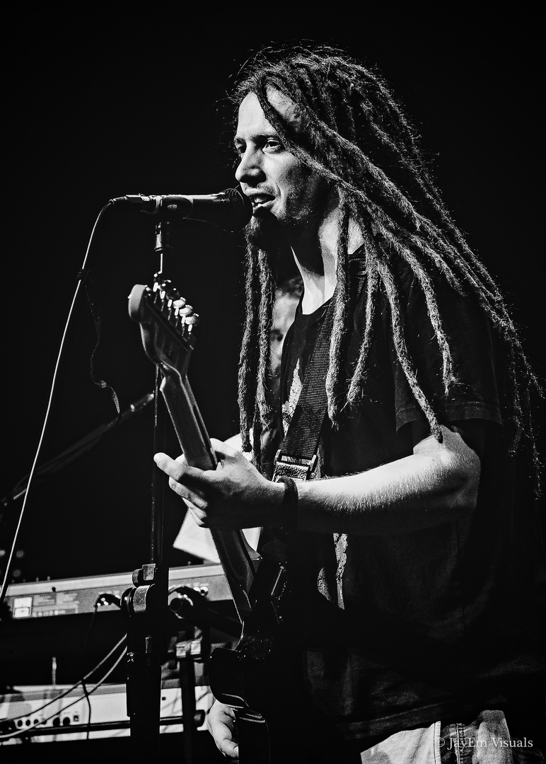 Rastaman Live Up...