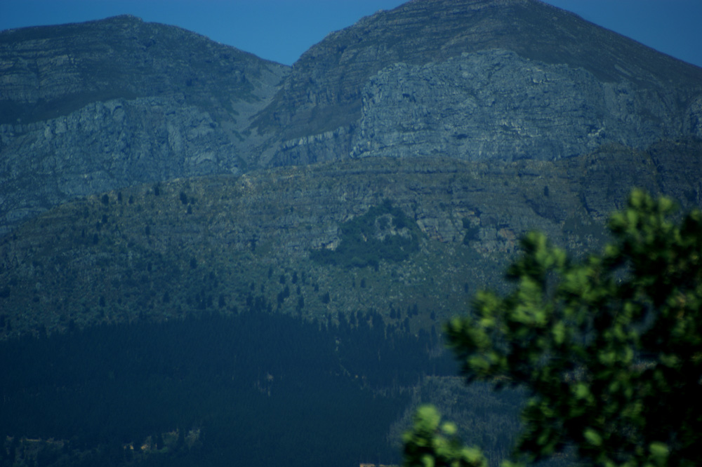 Rastaman on our Mountain