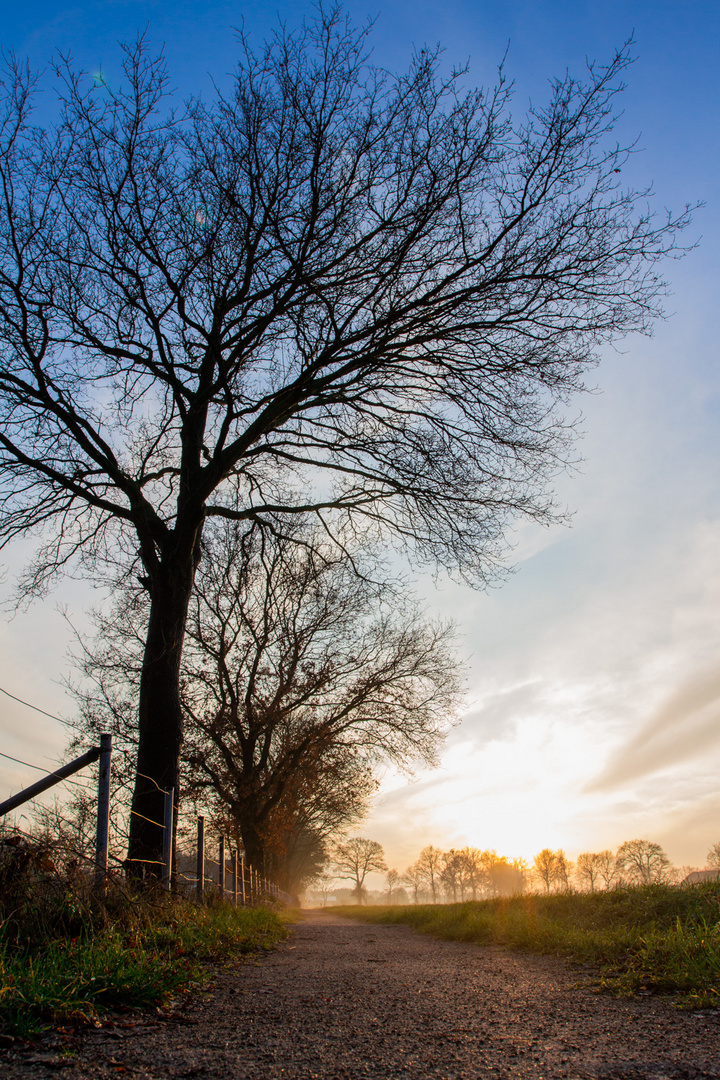 Rasteder Landweg