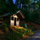 Rasthütte im Wald 