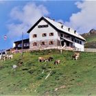 Rastkogelhütte (2126m) Zillertal - Tirol / Auf dem Weg zur Hütt´n (Brotzeit)