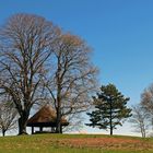 Rastplatz auf dem Hügel