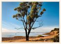 Eyre Peninsula