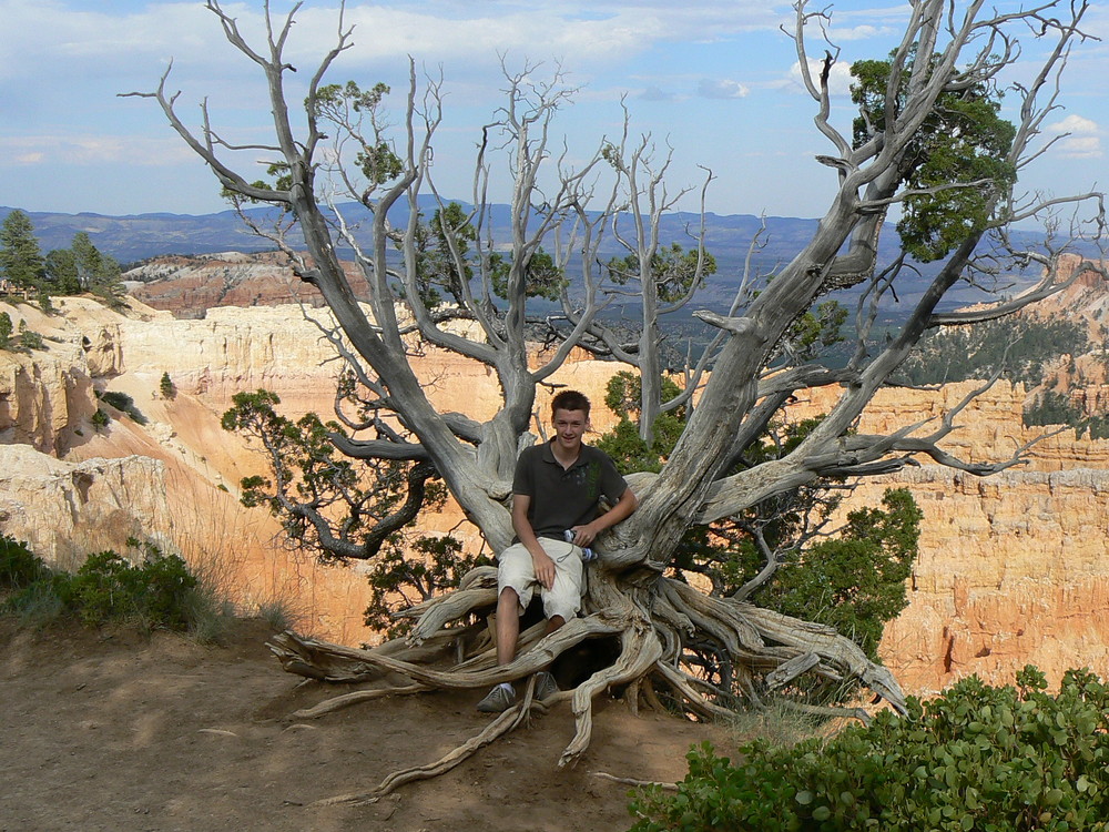 Rastplatz im Bryce Canyon