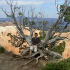 Rastplatz im Bryce Canyon