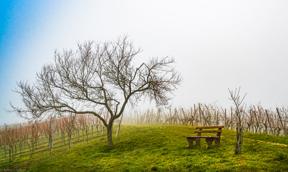 Rastplatz im Nebel