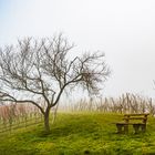 Rastplatz im Nebel