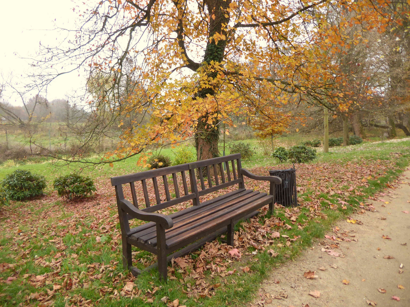 Rastplatz im Park