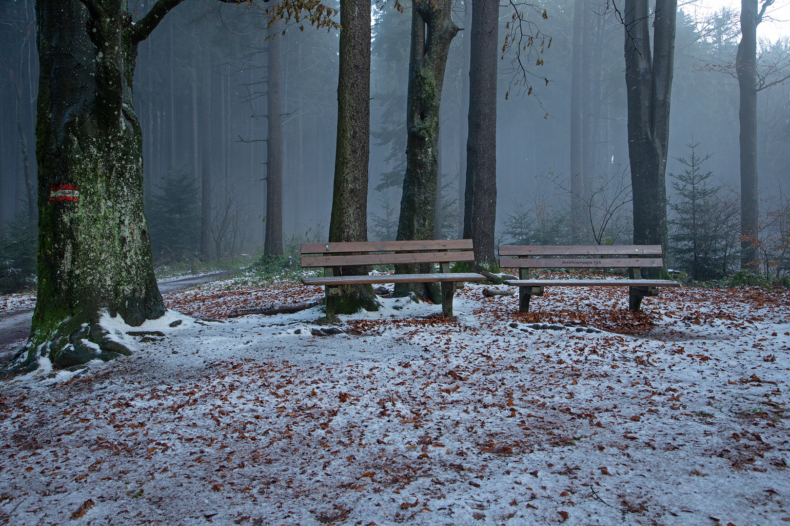 Rastplatz im Winter