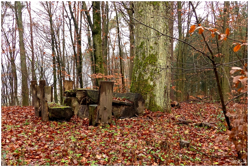 Rastplatz im Winter ,