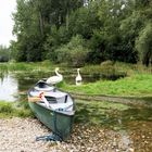 Rastplatz in den Rheinauen