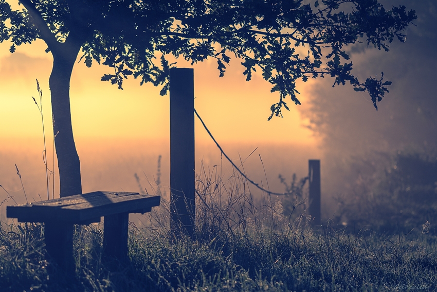 Rastplatz in der Morgensonne