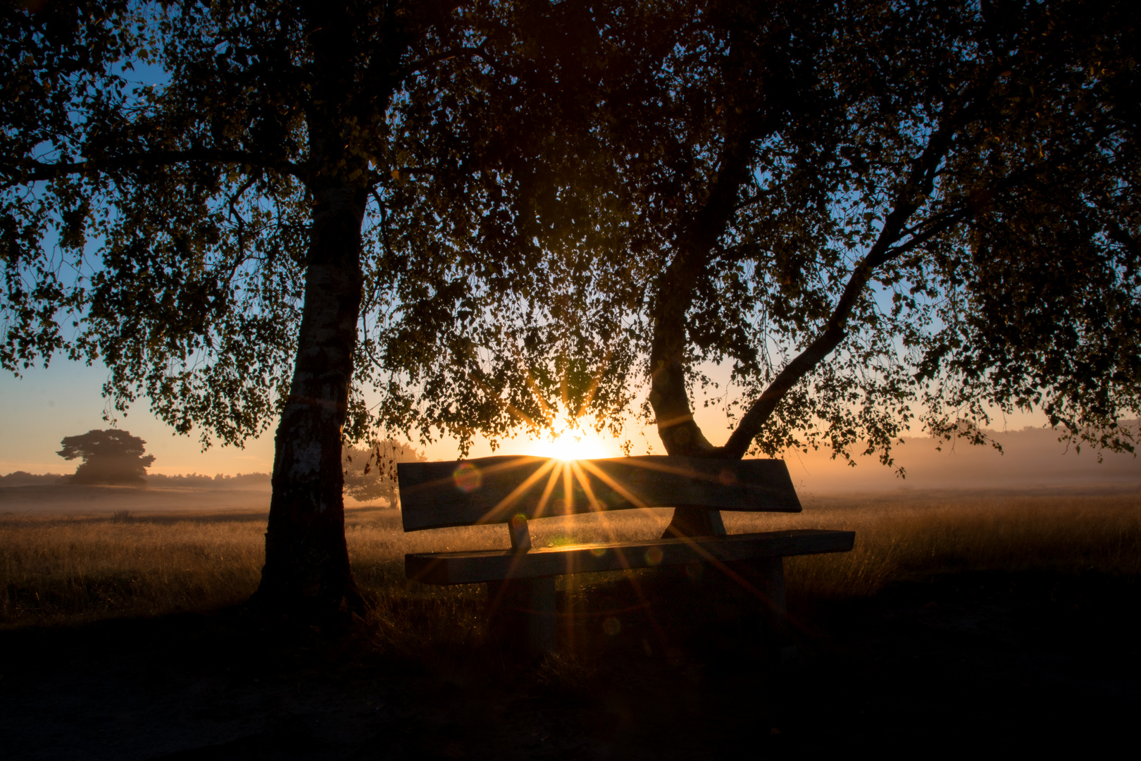 Rastplatz in der Sonne